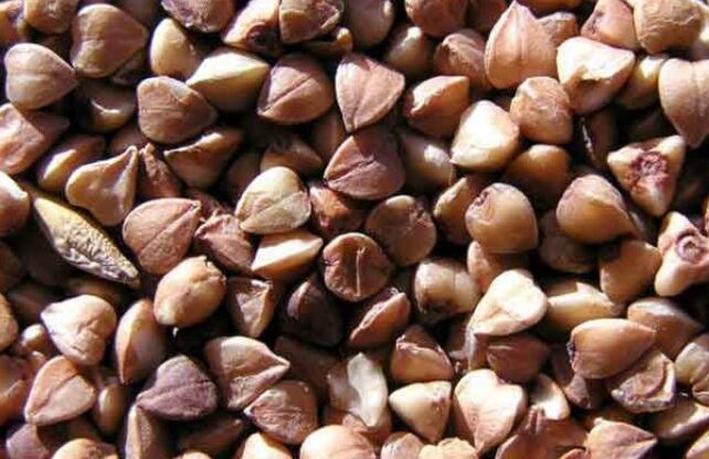 The nucleus of buckwheat